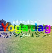 international yoga dag